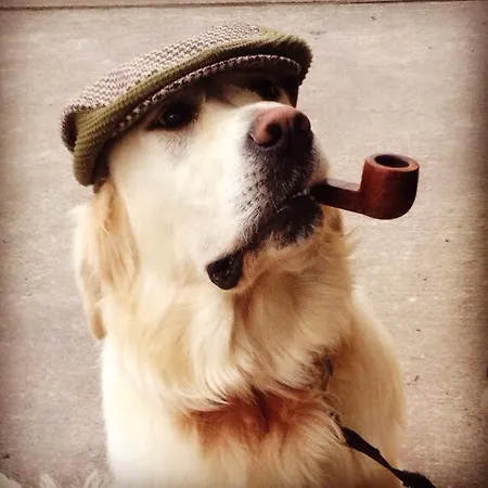 Geoghegans Magpie Bar And Bed & Breakfast *