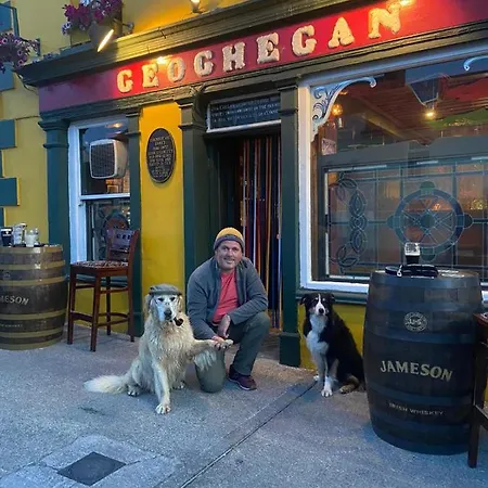 Geoghegans Magpie Bar And Glin