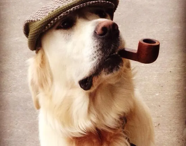 Geoghegans Magpie Bar And Nocleg ze śniadaniem *