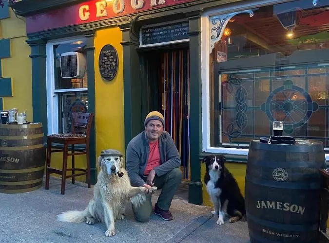 Geoghegans Magpie Bar And Glin