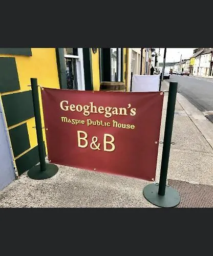 Geoghegans Magpie Bar And Nocleg ze śniadaniem Glin
